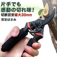 剪定ばさみ バネ プロ 剪定 ばさみ ガーデニング 剪定はさみ 花ハサミ 枝切り 剪定バサミ 園芸用はさみ …