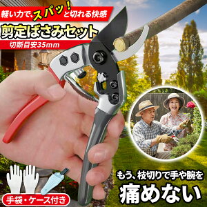 �_�V���i�����L�O ���Ԍ���50%OFF�^ ����΂��� ������ �v���p �}�؂��� �}�؂΂��� ���|�p�n�T�~ �K�[�f�j���O �Ԃ͂��� ��������΂��� ���� �A�؃n�T�~ �����} ����Ă��΂��� �}�؂��� ��