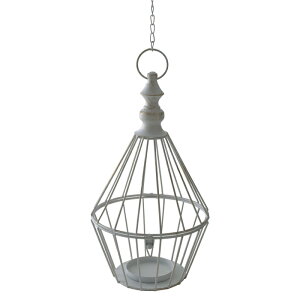 ACA@O[@yKNG݁@K[fpi@v^[@K[fjO@Ԋ@ԕrz