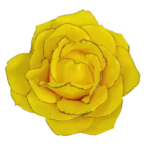 rbO[Yij@CG[()@yKNG݁@[YG݁@ԁ@傫KN@IuWF@Mtg@p[eB[@蕨@v[g@oz