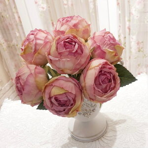 A[eBtBVt[@[Yu[Pi7j@yKNG݁@[YG݁@ԁ@IuWF@ԁ@oz