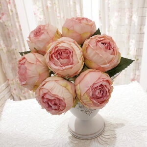 A[eBtBVt[@[Yu[Pi7j@yKNG݁@[YG݁@ԁ@IuWF@ԁ@oz