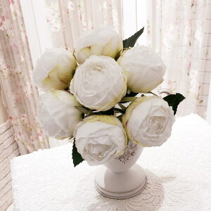 A[eBtBVt[@[Yu[Pi7j@yKNG݁@[YG݁@ԁ@IuWF@ԁ@oz