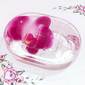 ANt[@\[vfBbV@@yKNG݁@oXObY@Tj^[ObY@Ӓ@I[Lbh@ԁ@ԁ@Όuz