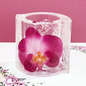 ANt[@t[X^h@@yKNG݁@Ӓ@I[Lbh@ԁ@ԁ@@[@uVX^hz