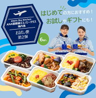 エントリーでポイント5倍 冷凍弁当 機内食 ANA's Sky Kitchen おうちで旅気分 ANA国際線エコノミークラス…