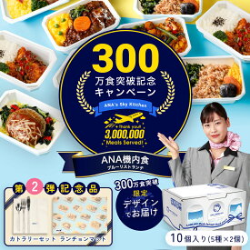 ANA 機内食 ANA's Sky Kitchen ANA国際線エコノミークラス機内食 ブルーリストランテ 300万食記念 第2弾 ワクワク！食卓彩りセット 10個入り 冷凍弁当 お弁当 お取り寄せグルメ 温めるだけ 時短 洋食 和食 ana 冷凍食品 冷凍 食べ物 ギフト 仕送り