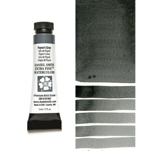 �y�C���Y�O���[ (Payne's Gray) 5ml�`���[�u ���ʊG�� �_�j�G���E�X�~�X �_�j�G���X�~�X