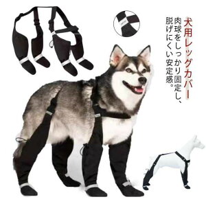 pbOJo[ pu[c Xy_[tppc ~ EȂ ^ ^ ߉\ ˃e[v Xgb` O l{ pc pV[Y ی  h~ h