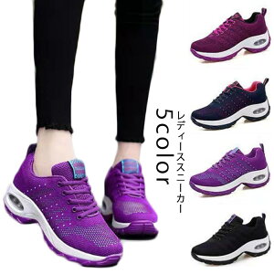 Xj[J[ r nCJbgXj[J[ Cq[ Xj[J[ ubN ₷ C y  ɂ  g fB[X