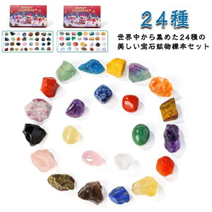 v[g WFXg[ NX}X E̐΃RNV  zΕW{24 ΕW{ AWXg bN RNV 24Zbg Mtg VRz NX}X ~l Ahxg