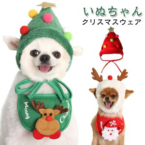  T^ ^  NX}XEFA LbgEFA giJC NX}X ߑ RXv hbOEFA ybg ˂  ~ 킢  Xqt  L U NX}X RX`