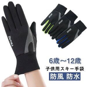 Xm{  WjA |Pbgt 5{w 5{w V q Xm[O[u h N X}zΉ  h u[ XL[ Xm{  X|[c XL[O[u ~  sN L