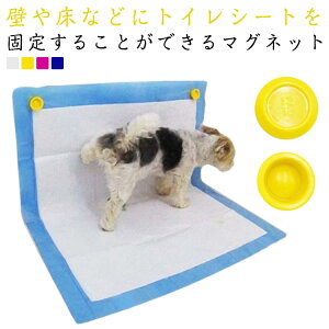 ͎ Ch 2Zbg ̃gCpi ͎ }[LO gCV[gŒp ybgV[c   ͂ M[ ͂ݏo юU h~ グ gCpi