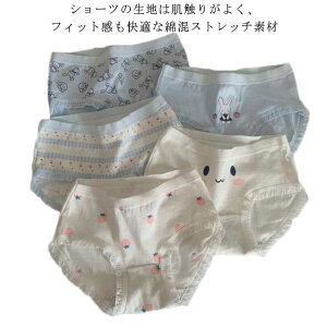 5g  XgXt[ ETM fB[X V[c V[c y5Zbgzyz pc C`S LN^[   [X ȍV[c