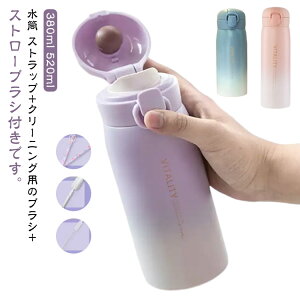  Rt 380ml 520ml e LbY qp Xg[ w j̎q ̎q w _CNg{g l }O{g ۉ ۗ ^b` R Xgbvt ^fMw XeX{g