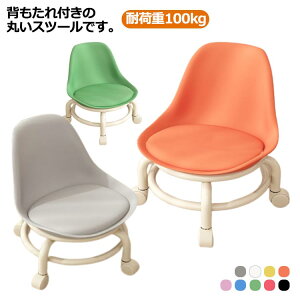 Xc[ NbV  34cm EhXc[  [Xc[ LX^[t ƒp Xc[ ֎q lC ~j wt ֎q ω׏d100kg tbgPAXc[ tbgP