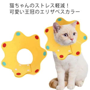 ȒP \tg tFg ~h~  GUxXJ[ L J[  GJ y p̕Ki ̕ی 2Zbg XgXy yzGUxXJ[ S M L 2g yb