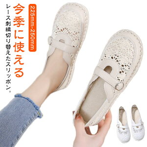 X|T [XV[Y T_ XK[ l [X Ȃ ɂȂ ₷ C C T}[u[c