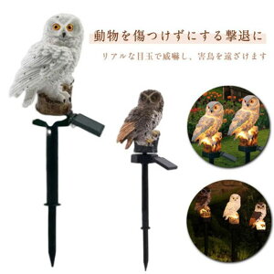 tNE 悯 ΍ \[[[d LED _ h AEghA { JX΍ h ΍ _Ǝ ng JX悯 