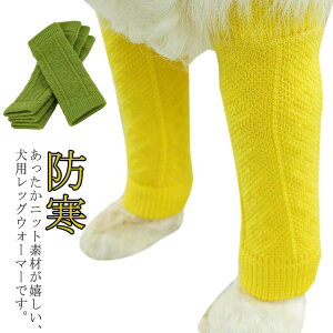  C pbOEH[}[  ^ ^ ^ jbg bOK[h bOT|[^[ bOveN^[ ֐ߕی   rߖh~ ی h~  nr 