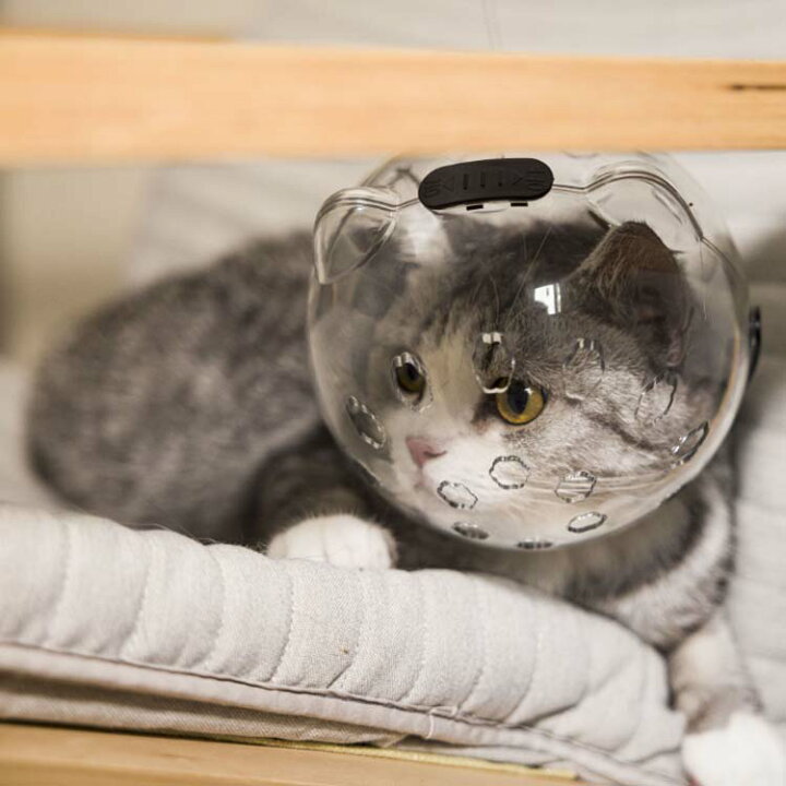 楽天市場】猫の爪切り補助マスク 猫カバー クリア ソフト 透明 舐め 