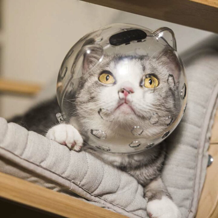 楽天市場】猫の爪切り補助マスク 猫カバー クリア ソフト 透明 舐め 