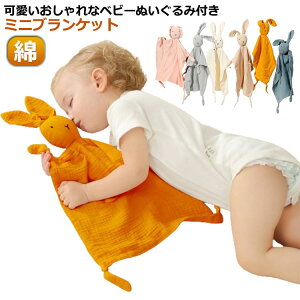  xr[ ʂ ~j uPbg _uK[[ ^I  􂦂 V xr[ Ԃ Sѕz 킢  ʂݕt ~juPbg 悾@ Rbg 