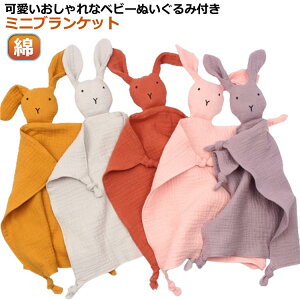  xr[ ʂ ~j uPbg _uK[[ ^I  Rbg 􂦂 V xr[ Ԃ Sѕz 킢  ʂݕt ~juPbg 悾@ 