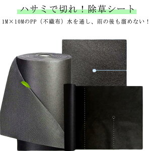 hV[g 1m×10m sDz ϋv G΍ Gh~  V[g GV[g ʂ     G h~ V[g _ ڂV[g Gh~V[g GV[g 