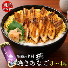 【国産】 焼きあなご 蒲焼 バラ 約22～25センチ (3〜4匹) たれ付 母の日カード付【送料無料】 穴子 アナゴ 節分 ひな祭り お歳暮 冬ギフト お中元 夏ギフト 母の日 父の日 穴子巻き あなごめし 穴子めし あなご丼 冷蔵 姫路 お土産 お取り寄せグルメ 贈り物 お祝い