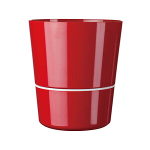 p mepal nCh n[u [W(L)[Aؔ |bg K[fjO  ϗtA ]