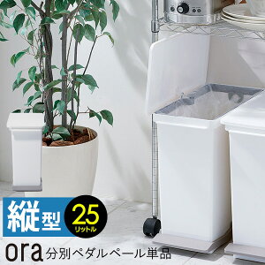 yBFP10{z IA S~ y_ ^e^ 25L ora { [S~ ݔ c^ _Xg{bNX ʃy_y[  X  킢 ӂt J 25l Lb` y_ box]