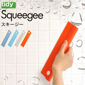 y}\P10{z tidy eBfB XL[W[ [؂ Cp[ XNC[W[   C I H Jrh~Cp[  C| oX^u  ʏ | VR] [