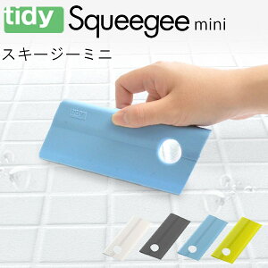 tidy eBfB XL[W[ ~j [؂ Cp[ XNC[W[   C I H Jrh~Cp[  C| oX^u  ʏ | VR] [։