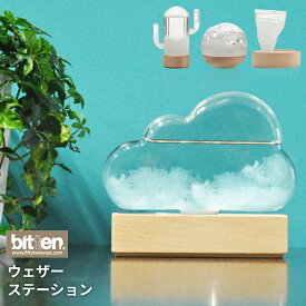 ストームクラウド ウェザーステーション bitten STORM CLOUD ストームグラス | インテリア雑貨 晴雨予報グラス 結晶 硝子 ガラス 置物 オブジェ かわいい おしゃれ 天気予測機器 天気予報 テンポドロップ 雲 北欧 雑貨 気象計 プレゼント ギフト 贈り物 お祝い 送料無料