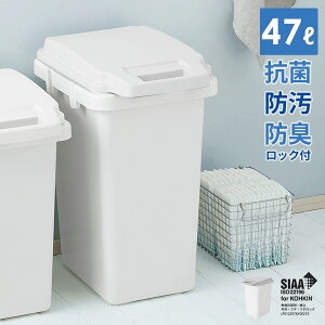 【マラソン限定P10倍】ゴミ箱 SIAA 抗菌 防臭 防汚 ワンハンドルペール 47L 日本製 ロック付き 臭い漏れしにくい メーカー直送