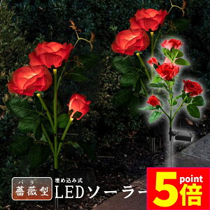 Ԍ|Cg5{\[[Cg O K[fCg 胉Cg ߍݎ h  ZT[ LEDK[fCg ߍݎ ԏ胉Cg   Ő [YCg o