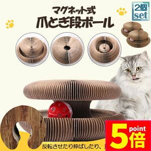 |Cg5{ }\Z[Lp܂Ƃ ܌ ܂Ƃi{[ L L 2Zbg Lp܂Ƃ {[t ܂ݎ njJ\ 2in1 gݗĊȒP {- ܌  ܖ