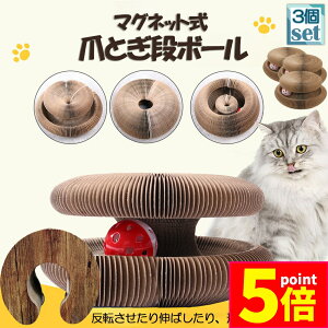 |Cg5{ }\Z[Lp܂Ƃ ܌ ܂Ƃi{[ L L 3Zbg Lp܂Ƃ {[t ܂ݎ njJ\ 2in1 gݗĊȒP {- ܌  ܖ