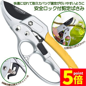 Ԍ|Cg5{΂ `Fbg  |p͂ }؂΂ A~ `Fbg΂ ɂ y }  ~ 뉀 A  } K[fjO nT