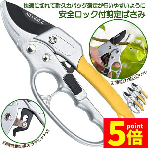 Ԍ|Cg5{΂ `Fbg 3Zbg  |p͂ }؂΂ A~ `Fbg΂ ɂ y }  ~ 뉀 A  } K[fj