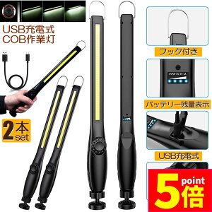 Ԍ|Cg5{Ɠ LED [NCg 2Zbg USB[d 450[ COBCg d 360°] tbN }Olbg Ct iKPx XCb` ً}pƖ dp ԏC