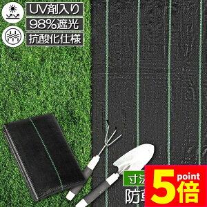 Ԍ|Cg5{hV[g 10m X 2m V[g |pV[g GV[g UVܓ  _ ƒp |p  Gʐ  Y K[fjO ԏ ƒ؉ ϋvN3N 