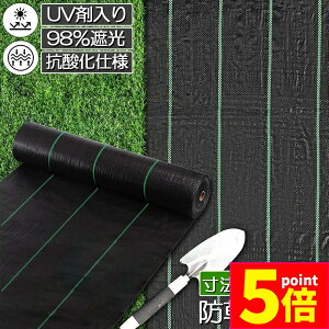 hV[g 50m X 2m V[g |pV[g GV[g UVܓ  _ ƒp |p  Gʐ  Y K[fjO ԏ ƒ؉ ϋvN3N lH G Ő DIY  