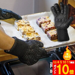 Ԍ!|Cg5{10{ϔMO[u ϔM o[xL[O[u NbLOO[u +800ōϔMx ~ 茓p EȒP ͂ p  BBQ dq