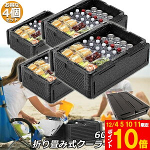 Ԍ!|Cg5{10{N[[{bNX 4Zbg ܂ݎ e 60L N[[obO ۗ ۉ [{bNX N[[box ۗobO GRobO Lv o[xL[ AEg