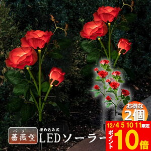 Ԍ!|Cg5{10{\[[Cg O K[fCg 胉Cg 2Zbg ߍݎ h  ZT[ LEDK[fCg ߍݎ     Ő [