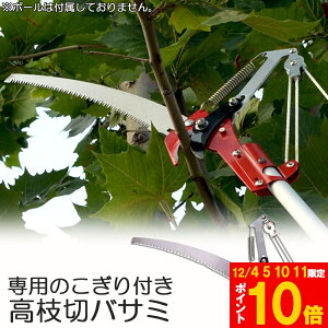 Ԍ!|Cg5{10{}؂oT~ [v }؂̂ }mRM }؂oT~ } y ͂ K[fjOpi  ʎ ̎ } nT~ | K[fj