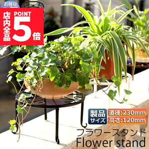 Ԍ!|Cg5{10{t[X^h O   3Zbg ԑ X^h X^h ACA v^[bN Lrt ϗtA |bN Aؔu vgX^